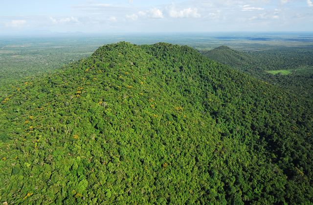 Parque Nacional do Viruá, um campeão de biodiversidade - ((o))eco